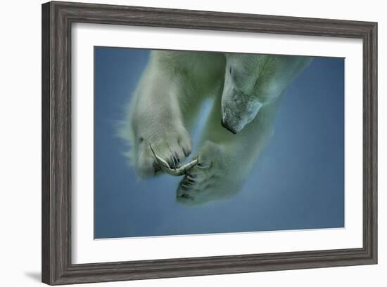 Icebaer-Peter Wagner-Framed Giclee Print