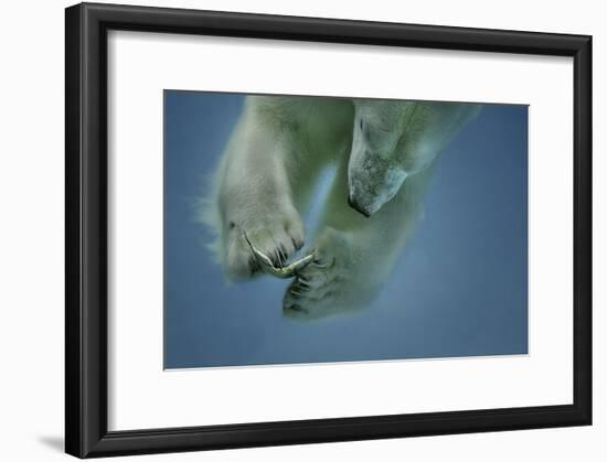 Icebaer-Peter Wagner-Framed Giclee Print