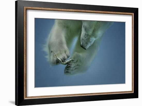 Icebaer-Peter Wagner-Framed Giclee Print