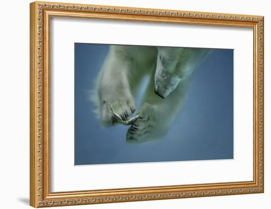 Icebaer-Peter Wagner-Framed Giclee Print