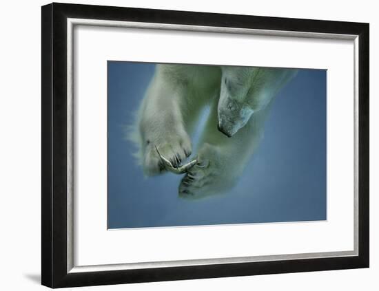 Icebaer-Peter Wagner-Framed Giclee Print