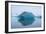 Iceberg 1-Moises Levy-Framed Photographic Print