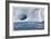 Iceberg and Seabirds-Donald Paulson-Framed Giclee Print
