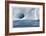 Iceberg and Seabirds-Donald Paulson-Framed Giclee Print