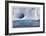 Iceberg and Seabirds-Donald Paulson-Framed Giclee Print