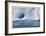 Iceberg and Seabirds-Donald Paulson-Framed Giclee Print