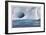 Iceberg and Seabirds-Donald Paulson-Framed Giclee Print