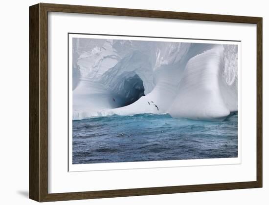 Iceberg and Seabirds-Donald Paulson-Framed Giclee Print