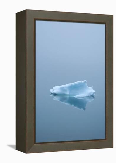 Iceberg Floats on Erik's Fjord in Southern Greenland-David Noyes-Framed Premier Image Canvas