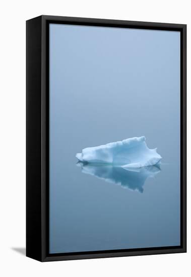 Iceberg Floats on Erik's Fjord in Southern Greenland-David Noyes-Framed Premier Image Canvas