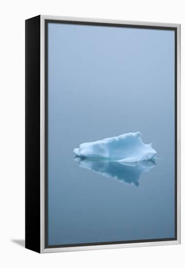 Iceberg Floats on Erik's Fjord in Southern Greenland-David Noyes-Framed Premier Image Canvas