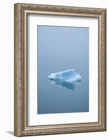 Iceberg Floats on Erik's Fjord in Southern Greenland-David Noyes-Framed Photographic Print