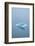 Iceberg Floats on Erik's Fjord in Southern Greenland-David Noyes-Framed Photographic Print