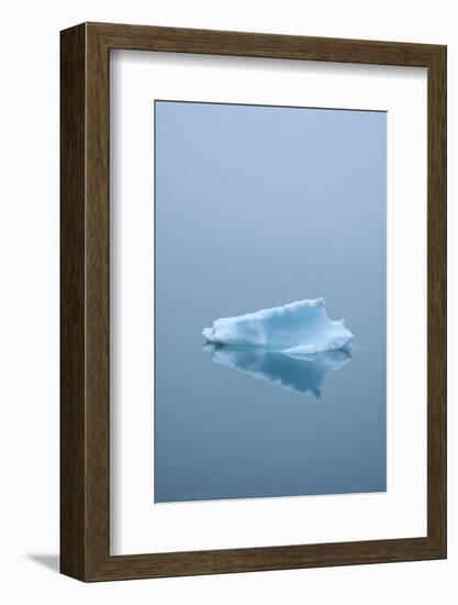Iceberg Floats on Erik's Fjord in Southern Greenland-David Noyes-Framed Photographic Print