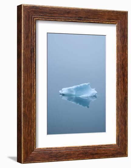 Iceberg Floats on Erik's Fjord in Southern Greenland-David Noyes-Framed Photographic Print