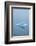 Iceberg Floats on Erik's Fjord in Southern Greenland-David Noyes-Framed Photographic Print