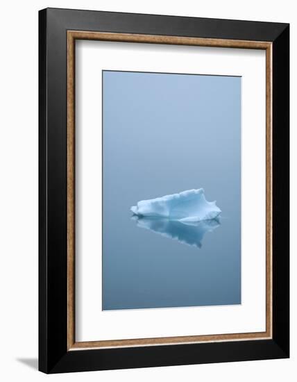 Iceberg Floats on Erik's Fjord in Southern Greenland-David Noyes-Framed Photographic Print