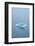 Iceberg Floats on Erik's Fjord in Southern Greenland-David Noyes-Framed Photographic Print