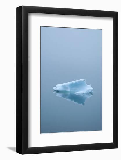 Iceberg Floats on Erik's Fjord in Southern Greenland-David Noyes-Framed Photographic Print