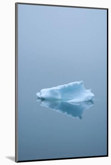 Iceberg Floats on Erik's Fjord in Southern Greenland-David Noyes-Mounted Photographic Print