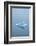 Iceberg Floats on Erik's Fjord in Southern Greenland-David Noyes-Framed Photographic Print