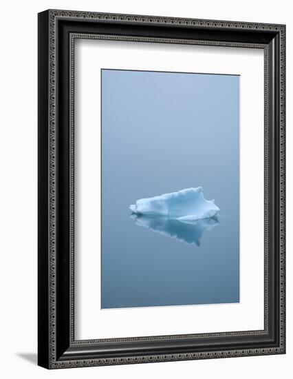 Iceberg Floats on Erik's Fjord in Southern Greenland-David Noyes-Framed Photographic Print