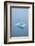 Iceberg Floats on Erik's Fjord in Southern Greenland-David Noyes-Framed Photographic Print