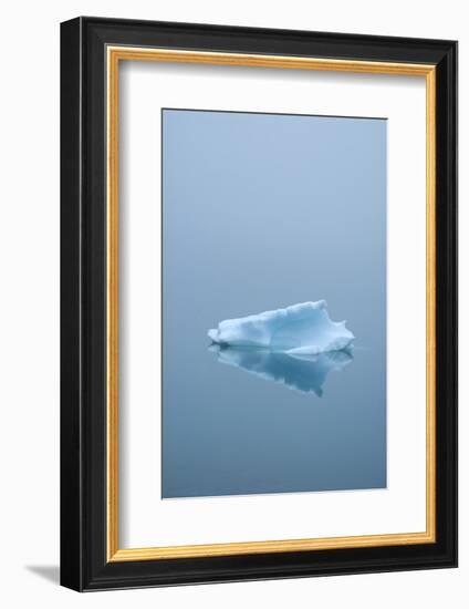 Iceberg Floats on Erik's Fjord in Southern Greenland-David Noyes-Framed Photographic Print