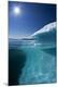 Premium Photographic Print
