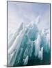 Iceberg in Leconte Bay, Alaska-Michael DeFreitas-Mounted Photographic Print