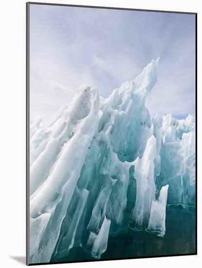 Iceberg in Leconte Bay, Alaska-Michael DeFreitas-Mounted Photographic Print