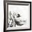 Iceberg Rose BW-Tom Quartermaine-Framed Giclee Print