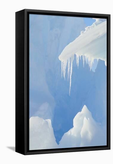 Iceberg-DLILLC-Framed Premier Image Canvas