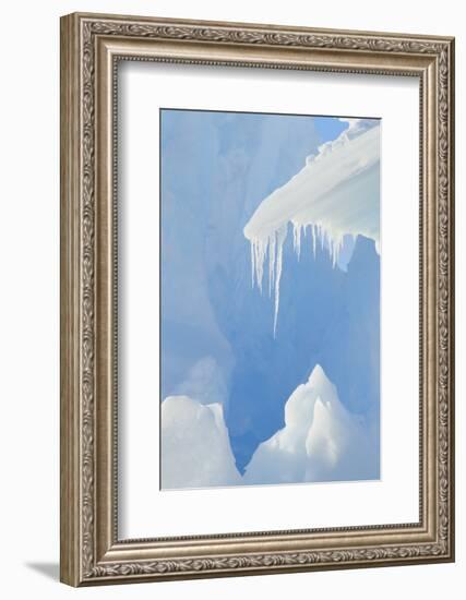 Iceberg-DLILLC-Framed Photographic Print