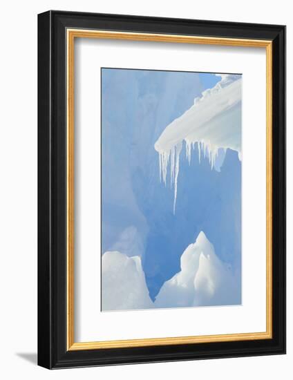 Iceberg-DLILLC-Framed Photographic Print