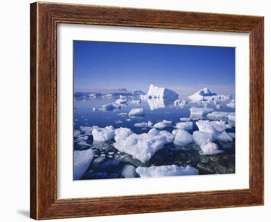 Icebergs and Brash Ice, Antarctica, Polar Regions-Geoff Renner-Framed Photographic Print