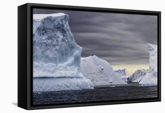 Icebergs, Antarctica-null-Framed Premier Image Canvas