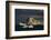 Icebergs, Antarctica-Art Wolfe-Framed Photographic Print