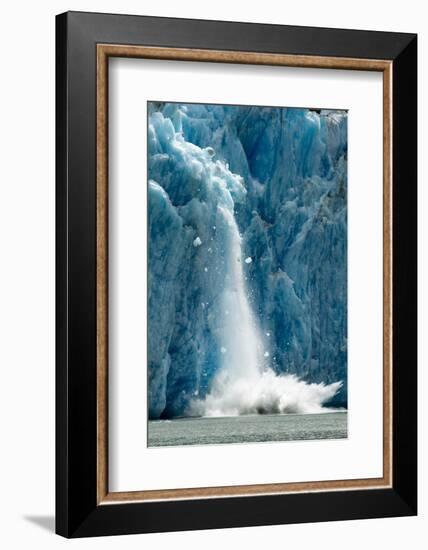 Icebergs Calving from Glacier, Alaska-Paul Souders-Framed Photographic Print