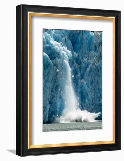 Icebergs Calving from Glacier, Alaska-Paul Souders-Framed Photographic Print