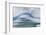 Icebergs drifting in the fjords of southern Greenland, Denmark-Martin Zwick-Framed Photographic Print