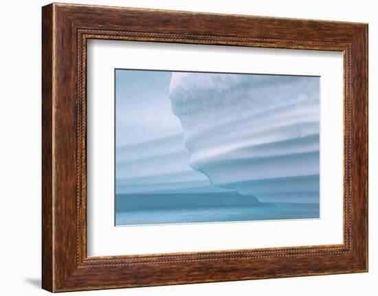 Icebergs drifting in the fjords of southern Greenland, Denmark-Martin Zwick-Framed Photographic Print