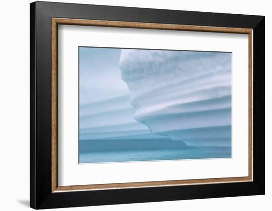 Icebergs drifting in the fjords of southern Greenland, Denmark-Martin Zwick-Framed Photographic Print