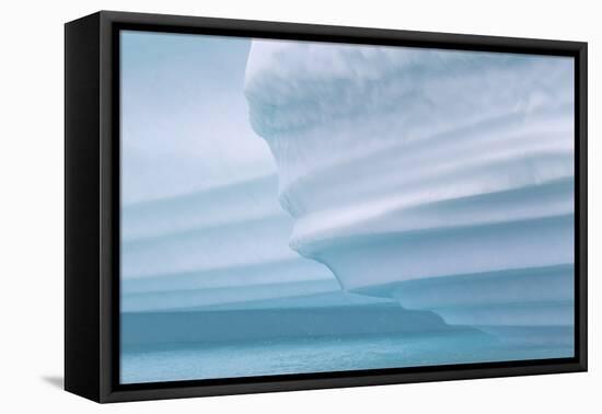 Icebergs drifting in the fjords of southern Greenland, Denmark-Martin Zwick-Framed Premier Image Canvas