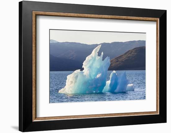 Icebergs drifting in the fjords of southern Greenland, Denmark-Martin Zwick-Framed Photographic Print