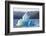 Icebergs drifting in the fjords of southern Greenland, Denmark-Martin Zwick-Framed Photographic Print