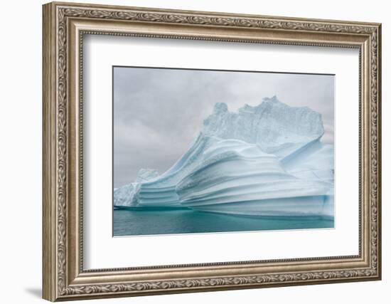 Icebergs drifting in the fjords of southern Greenland, Denmark-Martin Zwick-Framed Photographic Print