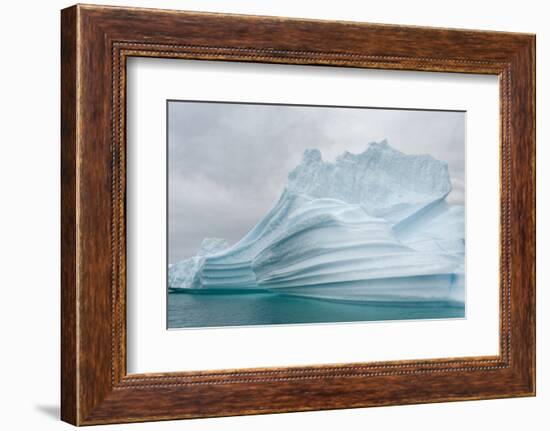 Icebergs drifting in the fjords of southern Greenland, Denmark-Martin Zwick-Framed Photographic Print