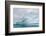 Icebergs drifting in the fjords of southern Greenland, Denmark-Martin Zwick-Framed Photographic Print