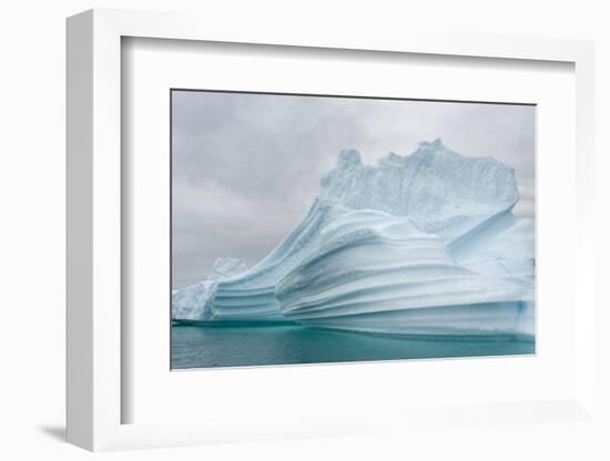 Icebergs drifting in the fjords of southern Greenland, Denmark-Martin Zwick-Framed Photographic Print